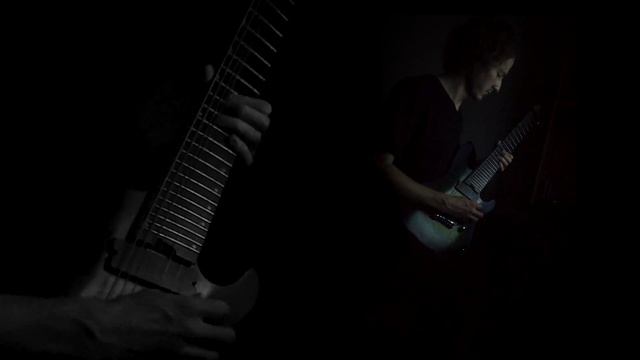 Zakk Wylde - Farewell Ballad (Guitar Cover) смотреть онлайн