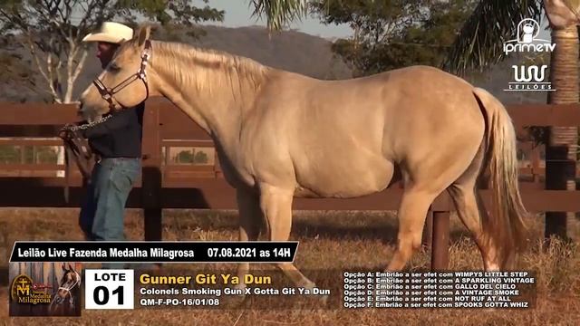 01 GUNNER GIT YA DUN смотреть онлайн