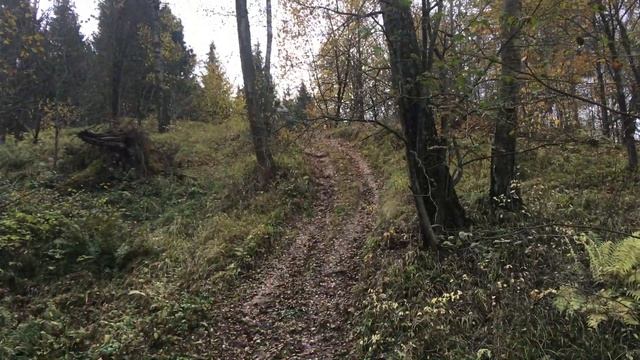 Спуск на квадриках. смотреть онлайн