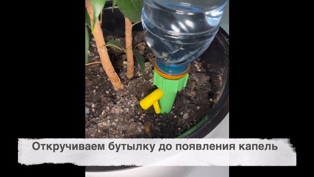 Капельный полив комнатных растений