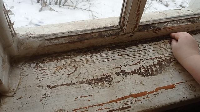 Готовлю завтрак, мою очень грязное окно, поливаю комнатные цветы. смотреть онлайн