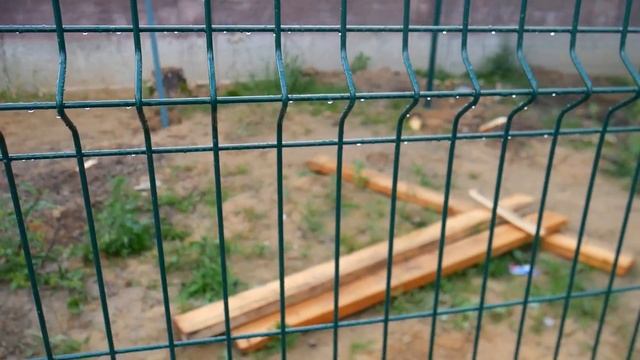 Строительство вольеров для больших кошек смотреть онлайн