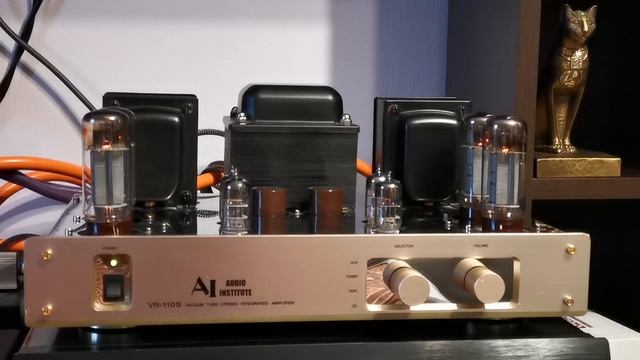 Audio institute vr-110S смотреть онлайн