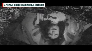 ЛУЧШИЕ ЯПОНСКИЕ ФИЛЬМЫ - ТОП-7