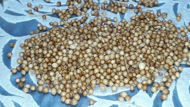 Сто болячек прочь, дорога в больницу забыта навсегда. Желудок, кишечник, сосуды. смотреть онлайн