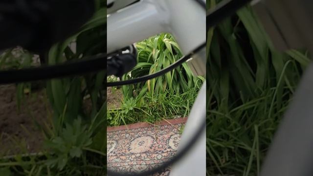 обзор на питбайк BSE EVO смотреть онлайн