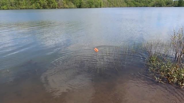 BEST & SAFEST RC BOAT for POOLS SUMMER 2021!!! Pro Boat Jet Jam - TheRcSaylors смотреть онлайн
