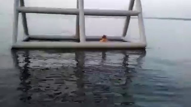 Мобильный билборд в Саратове. Реклама на воде. смотреть онлайн
