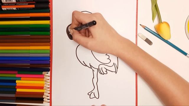 Cómo dibujar un Pájaro Flamenco del número 2 paso a paso para niños. Dibujo de animales para niños смотреть онлайн