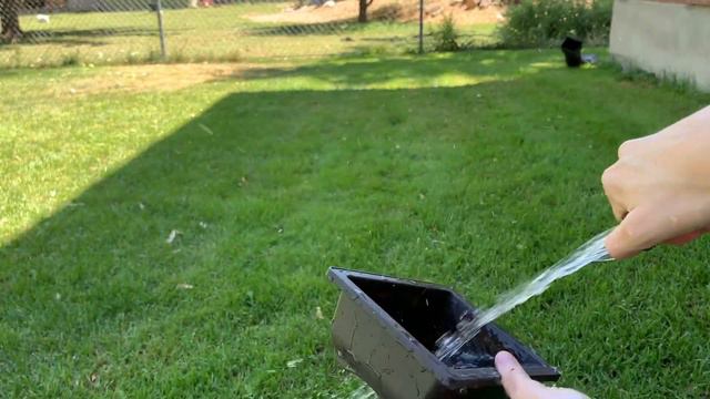 How to Repot a Bonsai - Ginseng ficus смотреть онлайн
