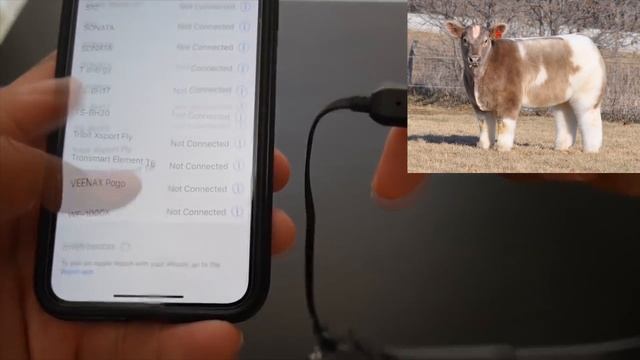 BLUEDIO TN ОБЗОР! Плюсы и минусы BLUEDIO TN. Честный Отзыв о Наушниках смотреть онлайн