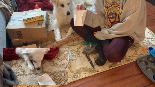 Brain Games for Dogs - DIY Puzzle Toys смотреть онлайн