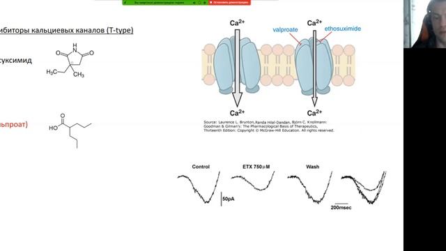 Семинар "Механизмы действия противосудорожных препаратов" смотреть онлайн