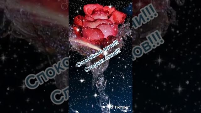 Спокойной ночи!!!