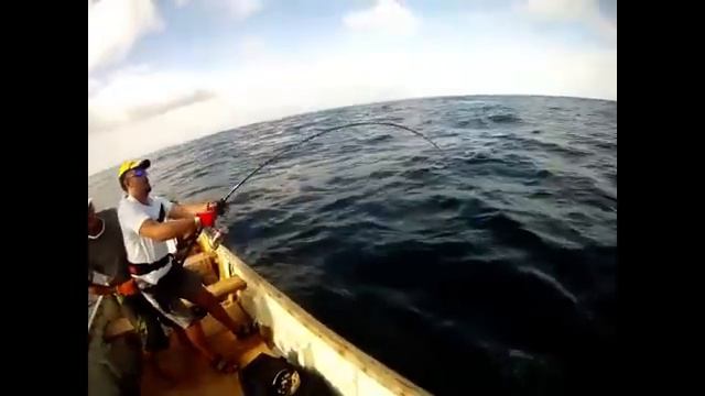 Jurassic Park socotra смотреть онлайн