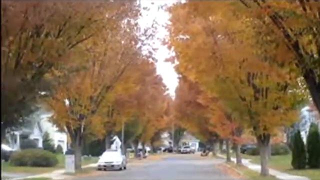 Fall 2008- Obama brings color to our neighborhood смотреть онлайн