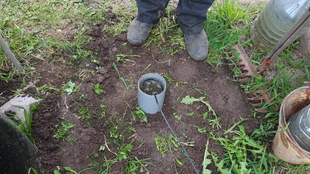 Негуманный способ закошмарить крота. смотреть онлайн