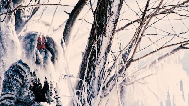 Аквамен существует! Реальный Аквамен в замерзщих льдах смотреть онлайн