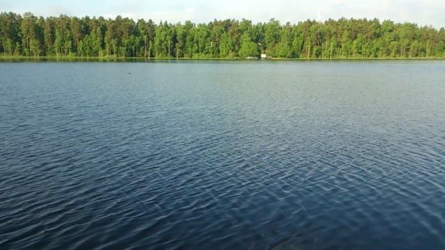 Красивое лесное озеро Черное или водоем для отдыха в лесу Московской области смотреть онлайн