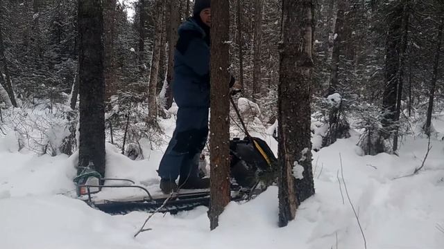 В Концарском болоте смотреть онлайн