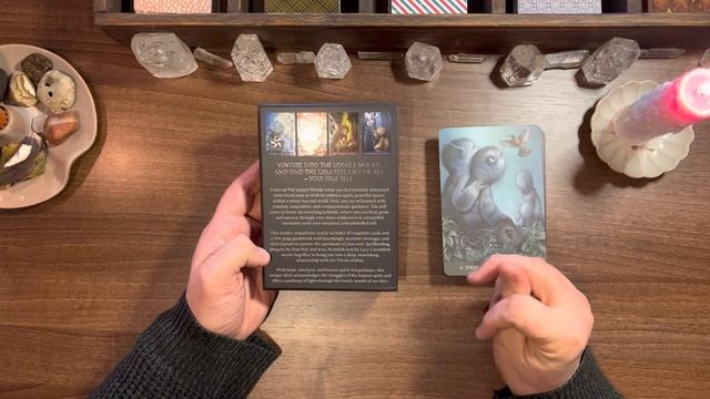 My Journey Into The Lonely Woods. смотреть онлайн