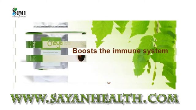 IMMUNE BOOSTERS CHAGA! TOP 10 IMMUNE BOOSTERS CHAGA MUSHROOM смотреть онлайн