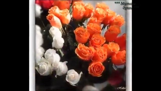 59 С днем рождения ! смотреть онлайн