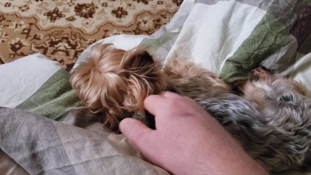 8 марта.харьков. смотреть онлайн