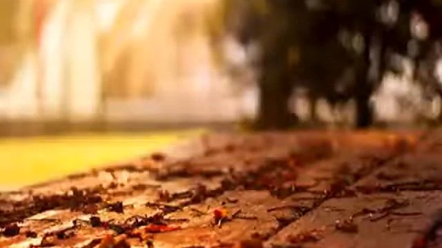 Irina Krug  СЕРЦЕ смотреть онлайн