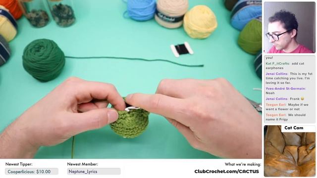 Customizable Cactus Amigurumi - Livestream Crochet Along