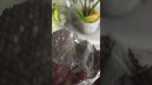 ОПТ ХОЗ посылка, распаковка, март 2021. пионы.