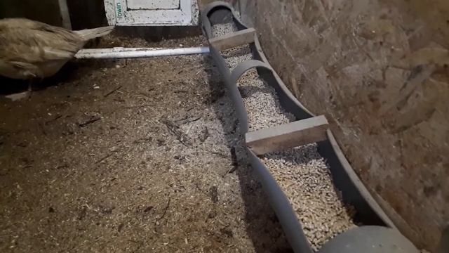 Индоутки. Как и почему лечим, чем кормим. смотреть онлайн