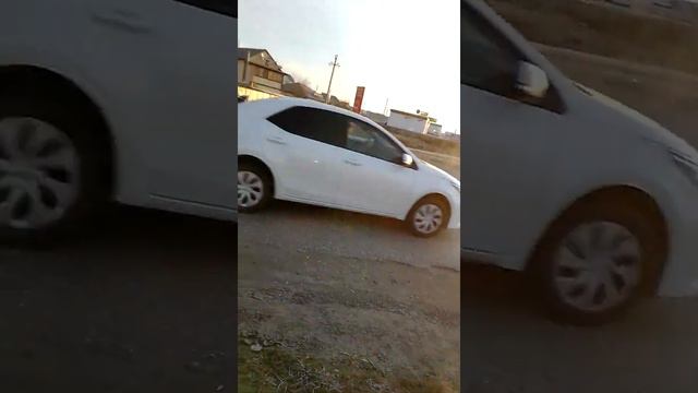Геолог светофор пешеходная полоса вообще нету Акимат Куда смотрит смотреть онлайн