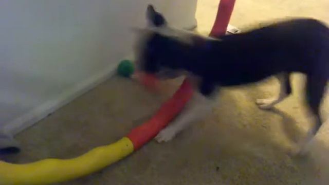 Too Many BALLS!!!! смотреть онлайн