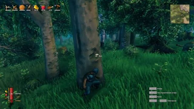 Valheim Гайд по разведению кабанов. смотреть онлайн