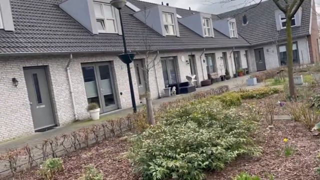 Получила приглашение посетить Германию от прекрасной Нелли. Пейзажи и курица на соли в Нидерланда смотреть онлайн