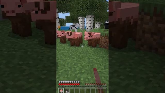 Коровы и Свиньи в 3D - Крутые текстуры для Майнрафт ПЕ