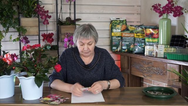 Посев бальзамина, проверенный метод. Грунт для бальзамина. Выращивание бальзамина из семян дома ? смотреть онлайн