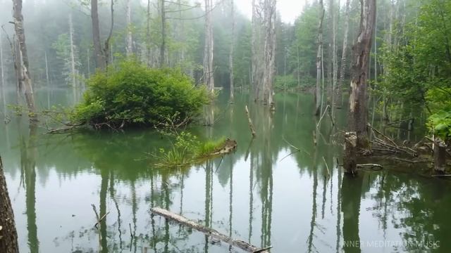 Flauta Curativos Tibetanos • Liberación De Melatonina Y Toxina • Elimina Estrés Y Calmar La Mente ★