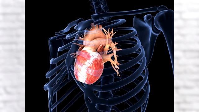 Это масло может убить даже грибок кандида! И еще 7 причин включить его в свой рацион смотреть онлайн