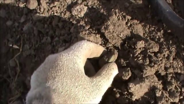Коп часть 29.Коп сельцо XV-XVII века,выезд 4)ПОЛУШКА ПЕТРА I,до Петровская чешуя.X-TERRA 705 смотреть онлайн
