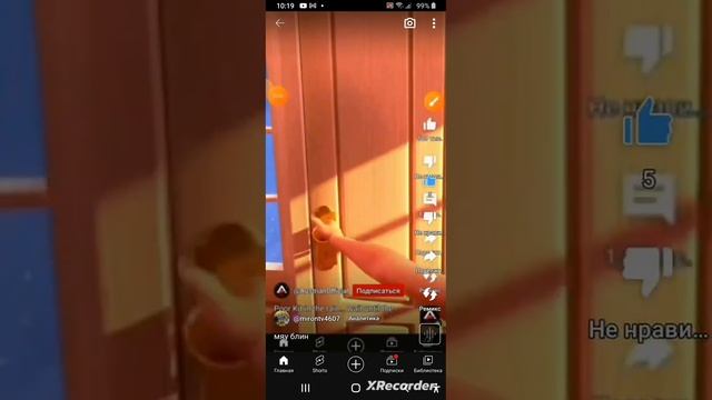 ляп в блин мяу смотреть онлайн