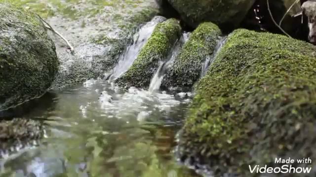 АЛ-КАФИРООН очищение души Коран смотреть онлайн