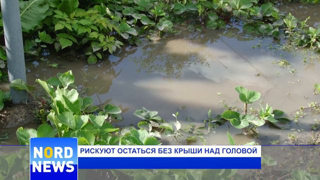 Рискуют остаться без крыши над головой. Две бельцкие улицы превратились в реки смотреть онлайн