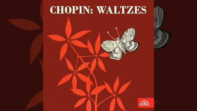 Valse No. 2 in C sharp minor, Op. 64 смотреть онлайн