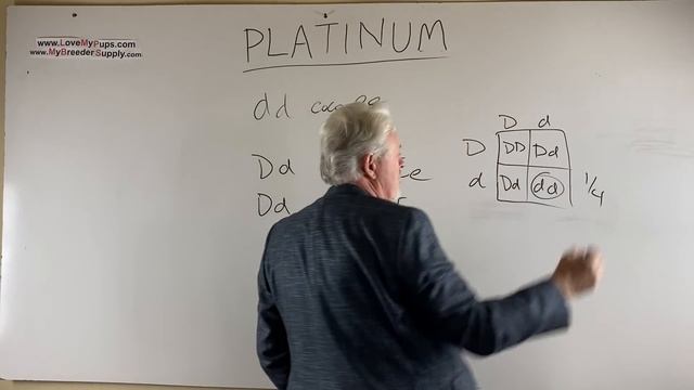 Platinum dogs. What are they How do you make one смотреть онлайн
