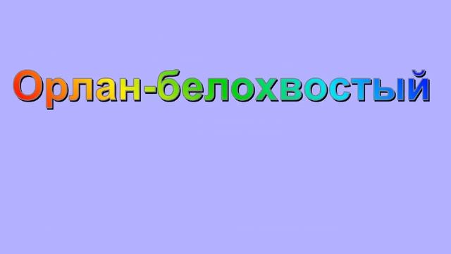 Животные и растении которые занесены в красную книгу Украины смотреть онлайн