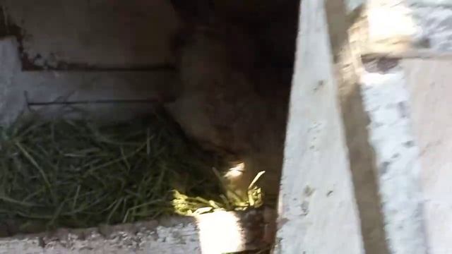 Мастерство на Практике