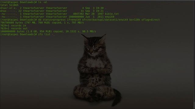 Forbidden Arts of ZFS | Episode 2 | Using ZFS on a single drive смотреть онлайн