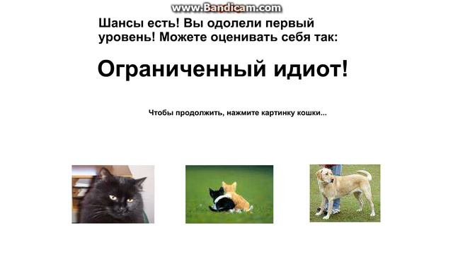 Тест На Дурака смотреть онлайн
